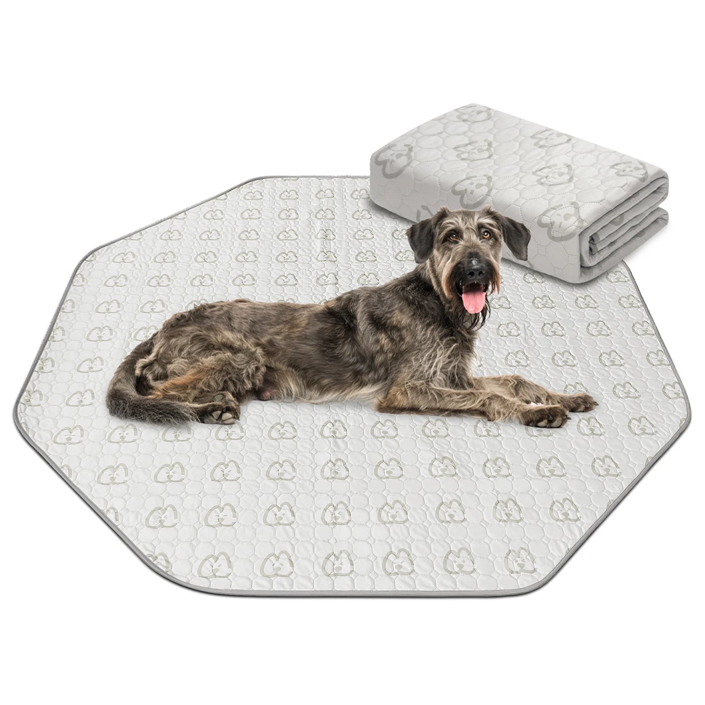 FXW Washable Dog Pee Pads Super Absorbent Puppy Training Pads for Crate Sofa and Bed