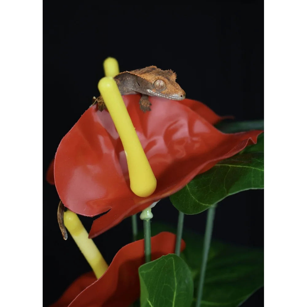 Anthurium Red Green Artificial Plant Aquarium Decor