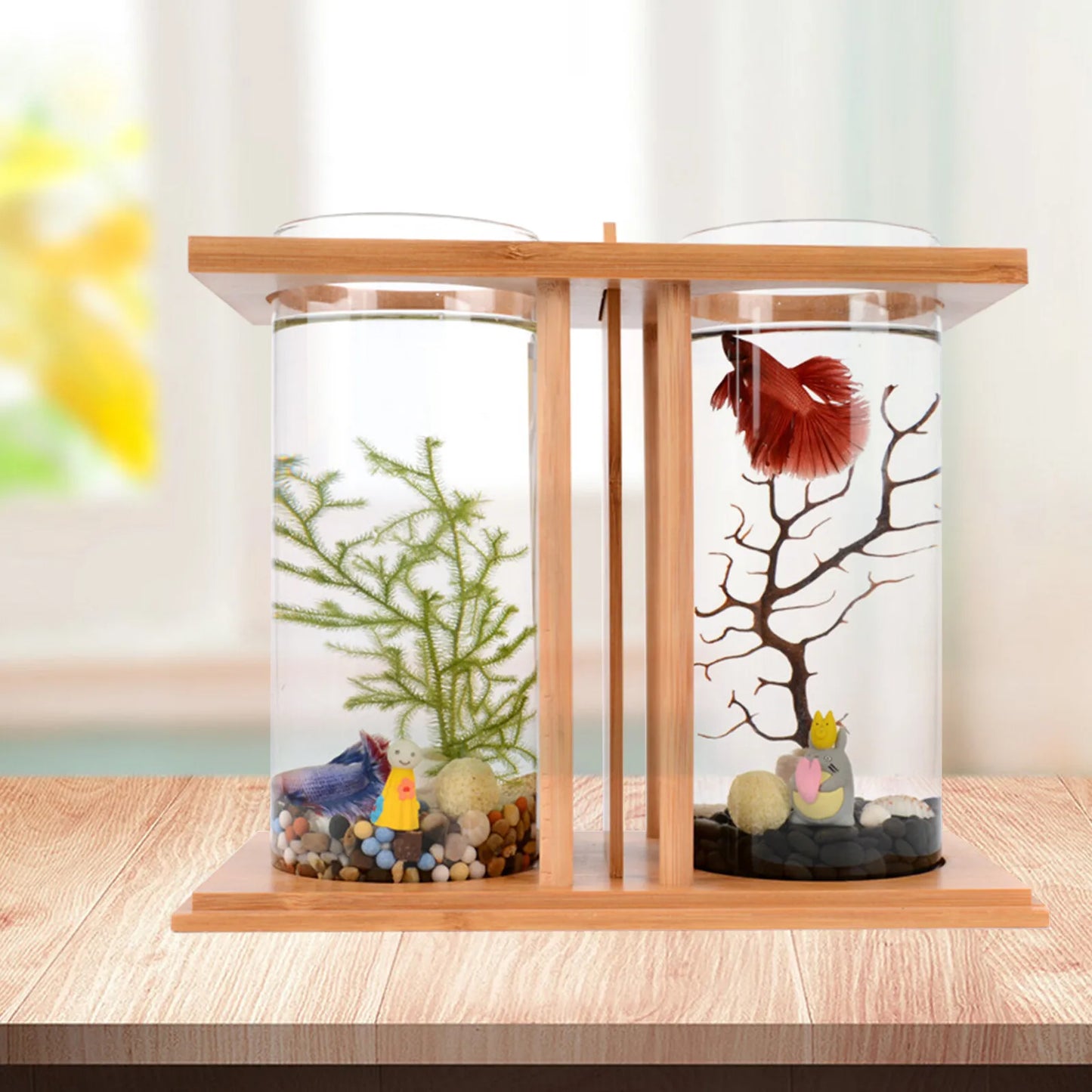 Small Betta Desktop Dual Glass Fish Tank Micro Landscape