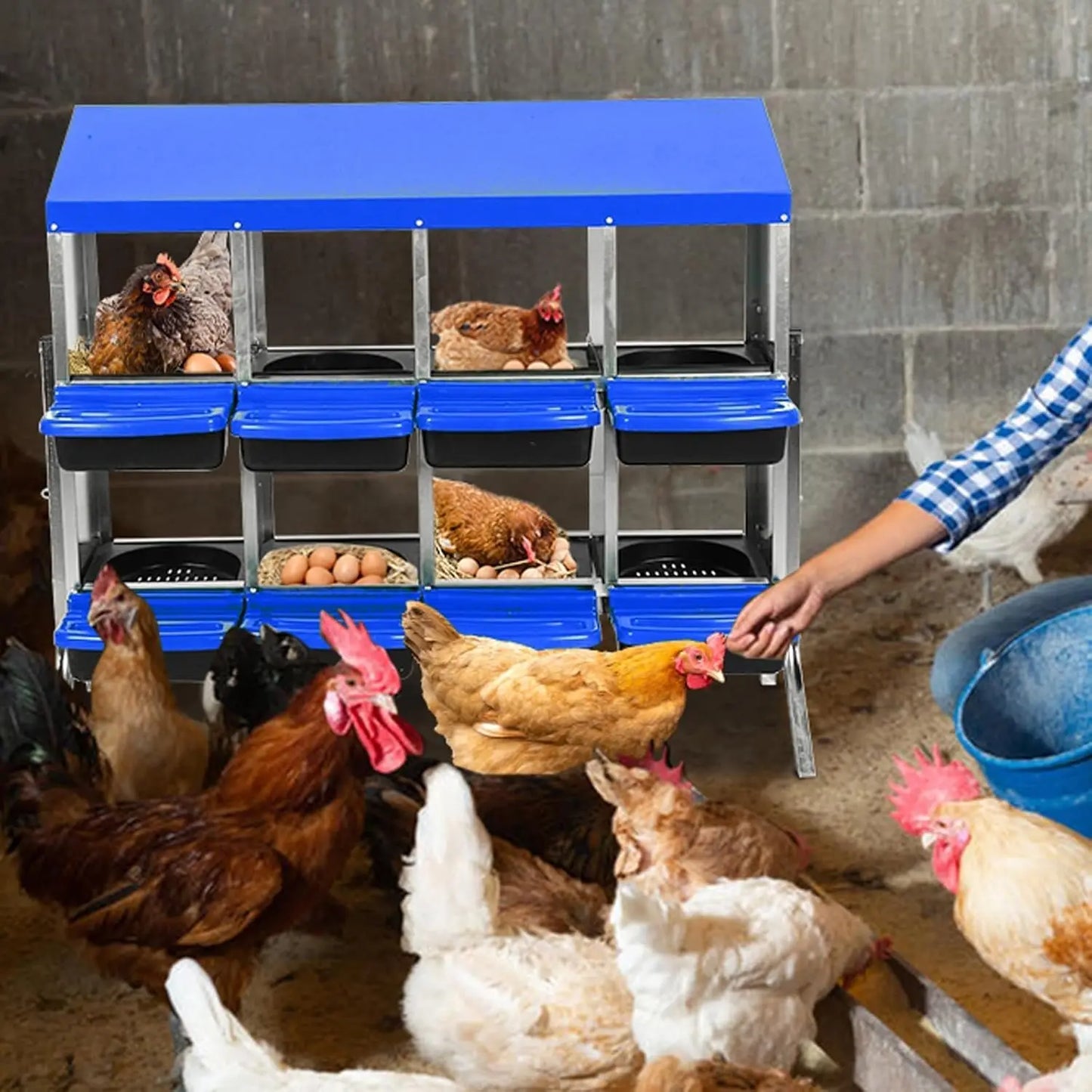 Chicken Nesting Boxes 8 Compartment Metal Egg Laying Box with Swing Perch and Rollout Egg Collection
