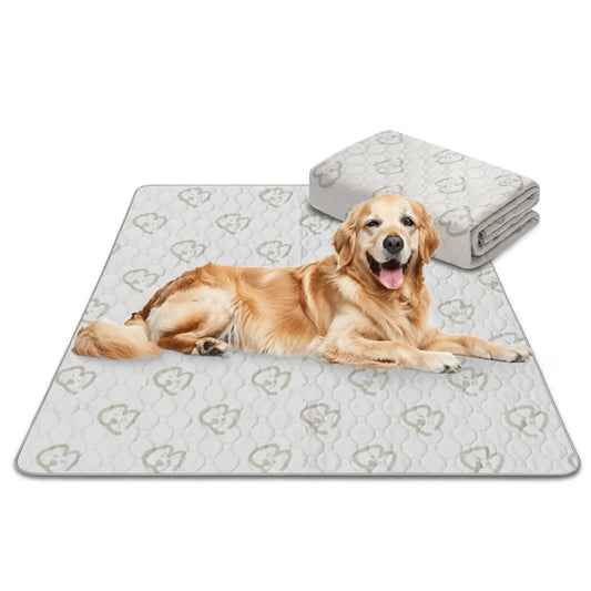 FXW Washable Dog Pee Pads Super Absorbent Puppy Training Pads for Crate Sofa and Bed