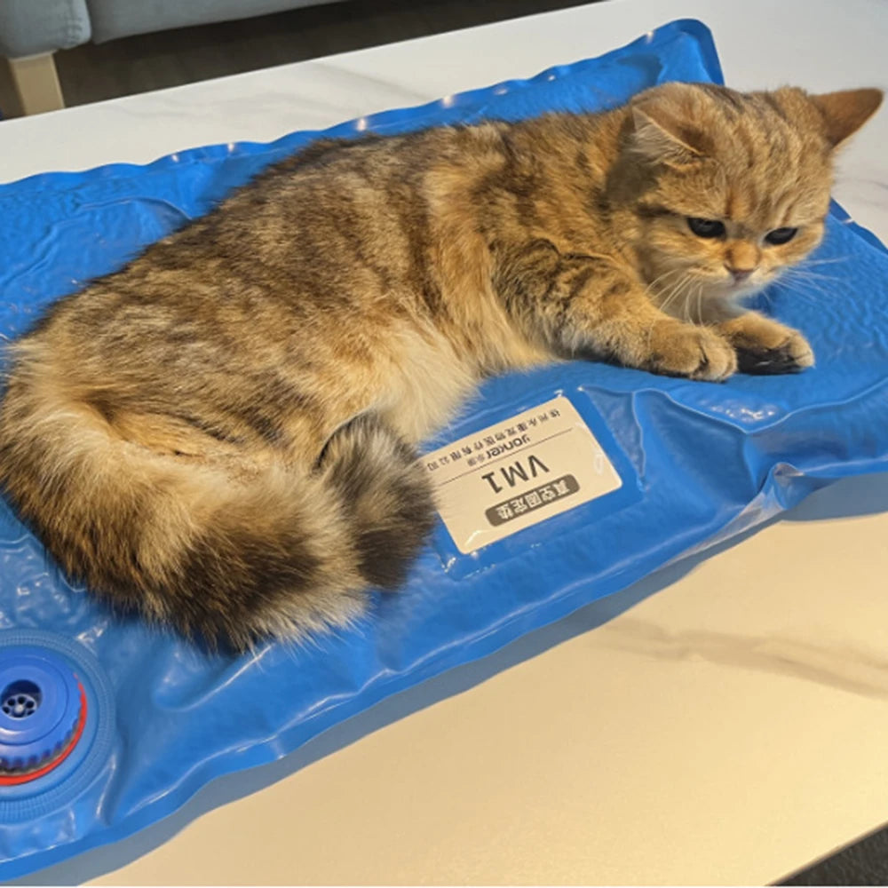 Animal Surgical Accessories Pet Vacuum Positioning Mat Small Veterinary Examination Pad