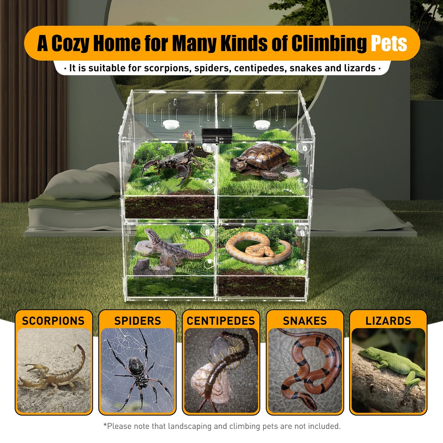 Acrylic Reptile Terrarium with 360 Degree View Secure Lock Ventilated Easy Clean and Install for Scorpions Spiders and Small Reptiles