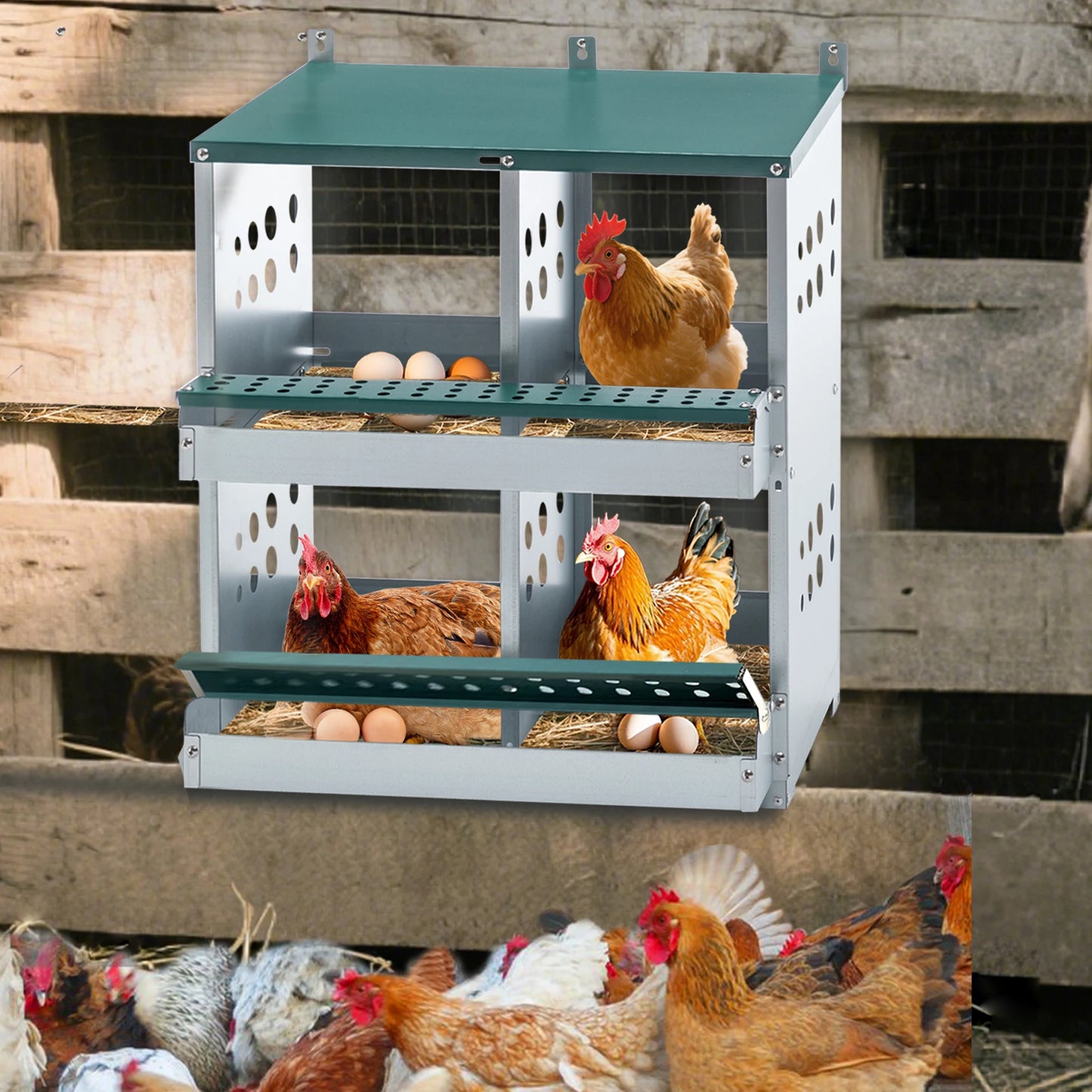 4 Compartment Chicken Nesting Boxes, Metal Nesting Boxes Wall Mount Chicken Egg Laying Box for Different Chicken Breeds