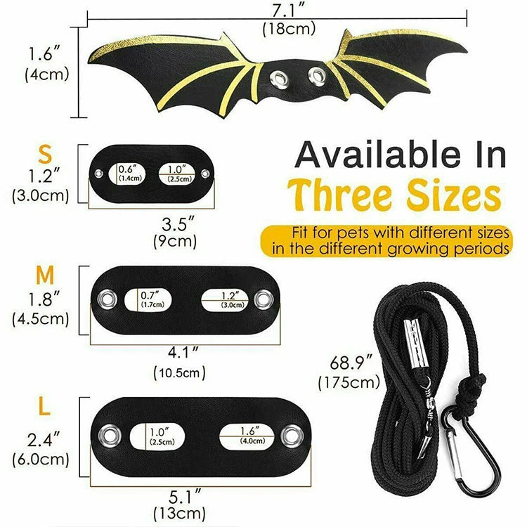 Lizard Leash Reptile Harness for Outdoor Pet Chameleon and Squirrel Supplies