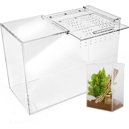 Tarantula Enclosure XL (10”x7”x14”) Reptile Terrarium w/Sliding Magnetic Door-Great Reptile Tank for Terrestrial or Arboreal Ani