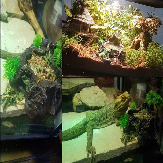 Sturdy And Reliable Reptile Feeder Bowl Easy To Clean Food Water Dish