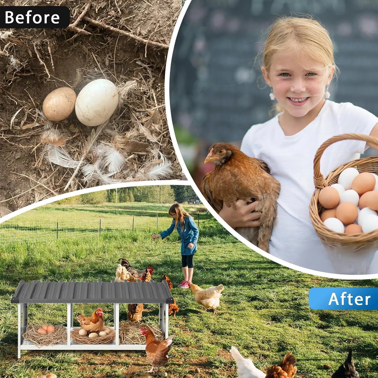 3 Compartments Nesting Box, 3 Rooms Metal Nesting Box Chickens Egg Laying Nest Boxes for Hens