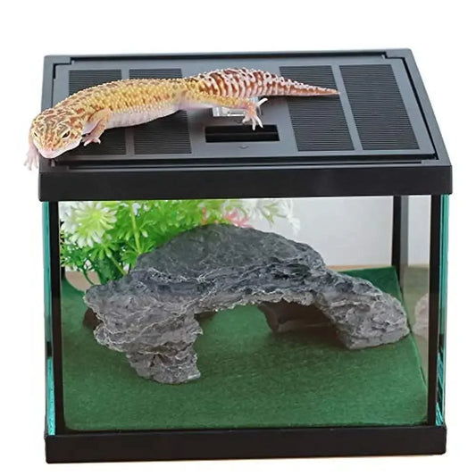 Glass Tank Spider Box Kit 7.8x7.8x5.9 Inch Tarantula Feeder Insects Beetle Habitat Amphibians Terrarium Small Pet Kit