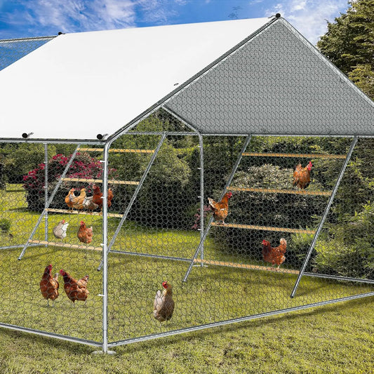 Chicken Coop Roosting Perch Essentials Perfect for Backyard Poultry Easy to Assemble and Clean Fun Roost Toys Included