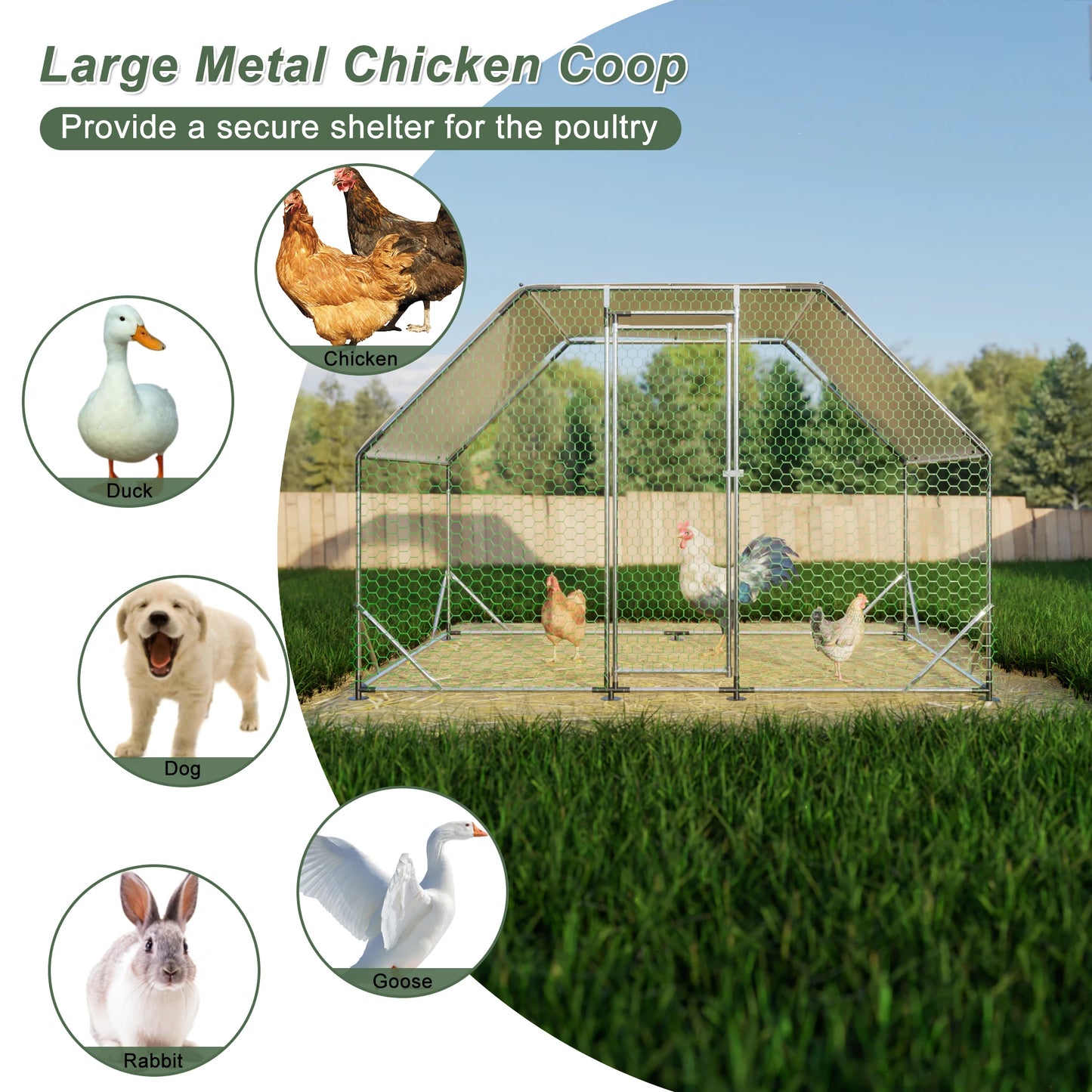 LZBEITEM 9.94 ft x 6.46 ft x 6.36 ft Metal Large Chicken Coop Walk-in Poultry Cage Run Flat Shaped with Waterproof Cover