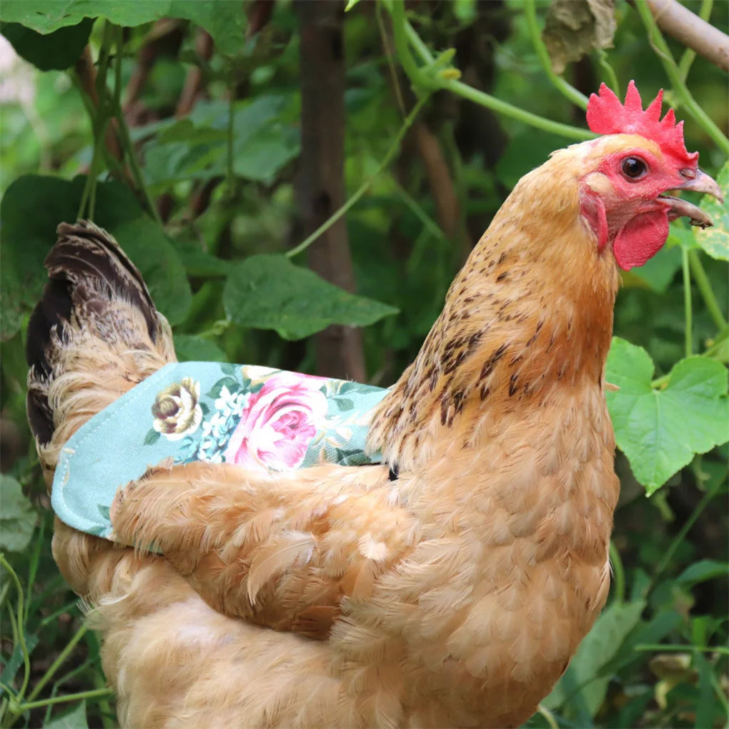 Pack of 5 Chicken Saddle Canvas Hens Apron Feather Protector Accessories