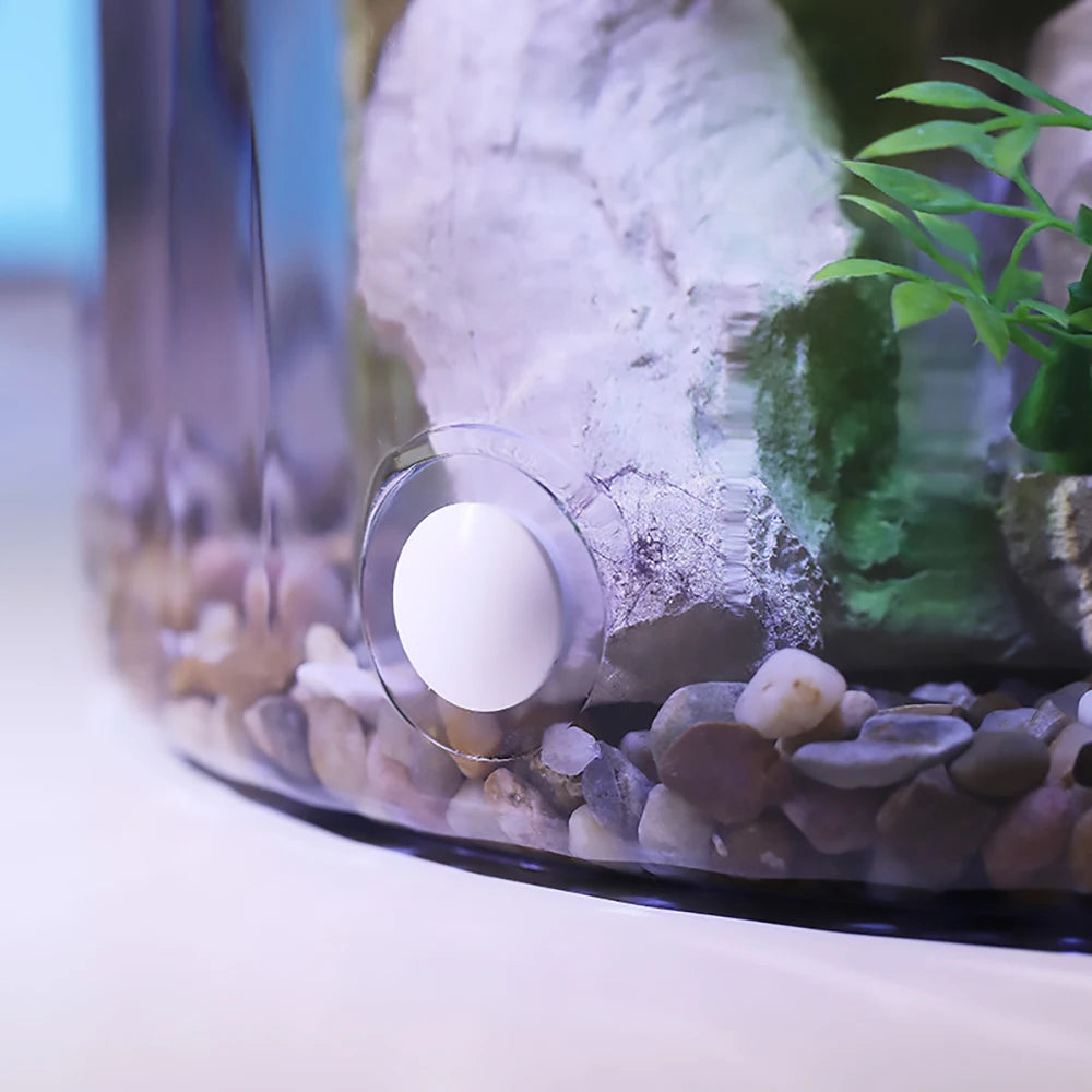 Ecological Goldfish Tank With Water Circulation Oxygenation And LED Lighting