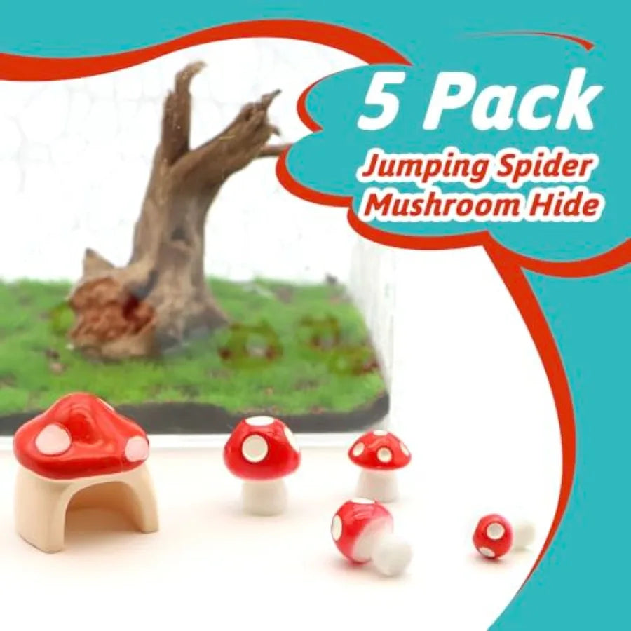 5 Pack Jumping Spider Habitat Decor Mushroom Hide Resin Accessories Terrarium