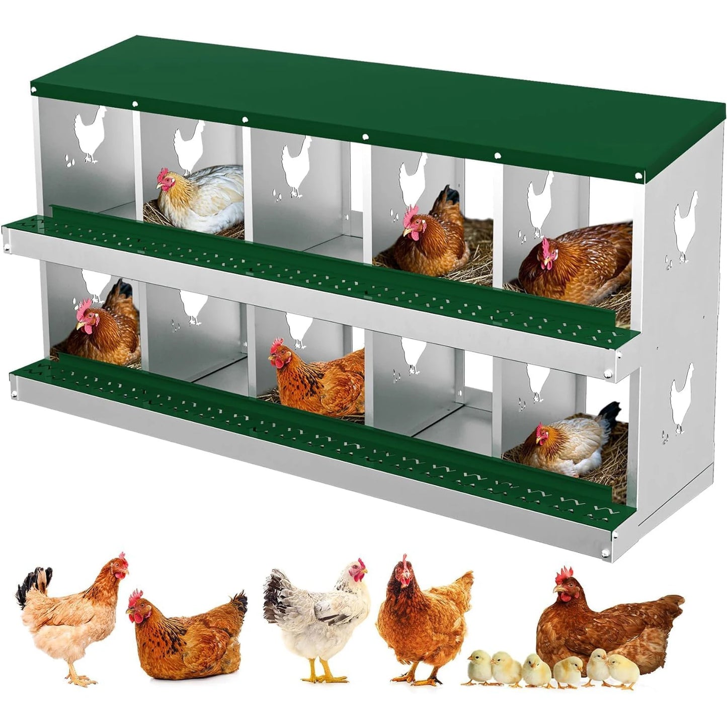 Heavy Duty Galvanized Steel Nesting Box With 10 Compartments For Coops Wall Mount