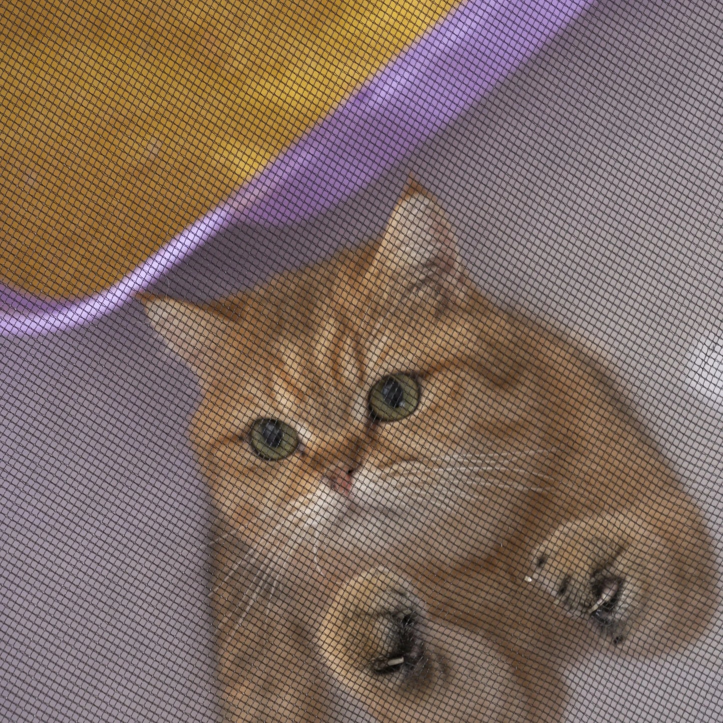 Foldable Mesh Ventilated Circular Pet Nest Outdoor Indoor For Cats And Dogs Extra Large Comfortable Cat Birthing House