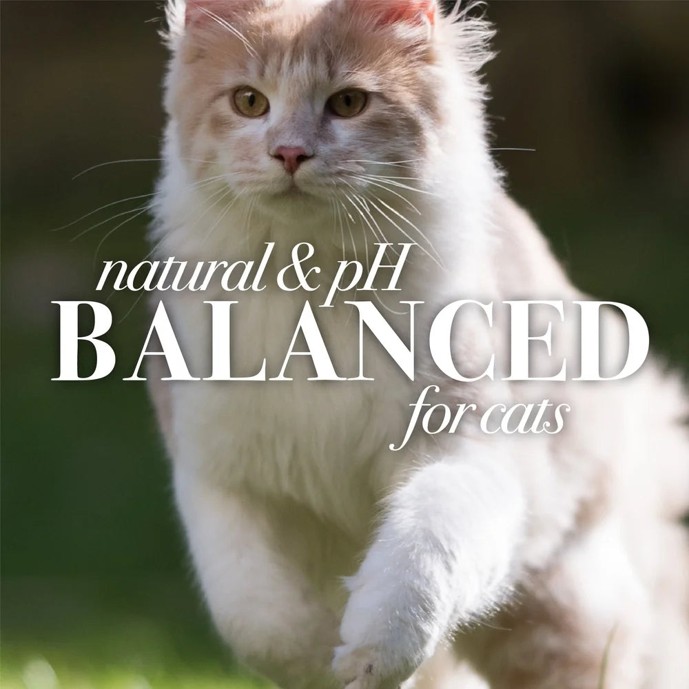 Natural Waterless Dry Shampoo for Cats and Kittens with Shea Butter and Honey Gentle Cleansing Spray 250ml