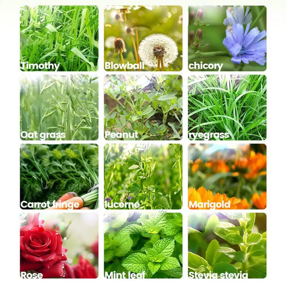 Rabbits Hay Food Safe Natural Grass Hay Bedding For Hamster