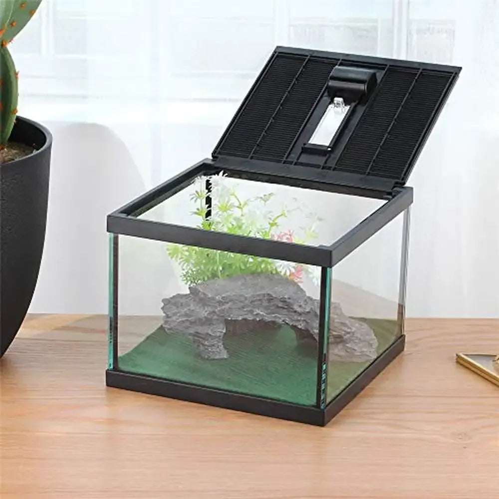 Glass Tank Spider Box Kit 7.8x7.8x5.9 Inch Tarantula Feeder Insects Beetle Habitat Amphibians Terrarium Small Pet Kit