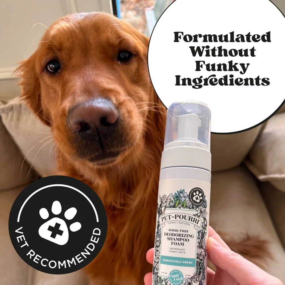 Waterless Pet Shampoo Foam Deodorizing Grooming Cleanser No Rinse Paw Cleaner Fresh Scent for Dogs and Cats Travel Friendly Easy to Use