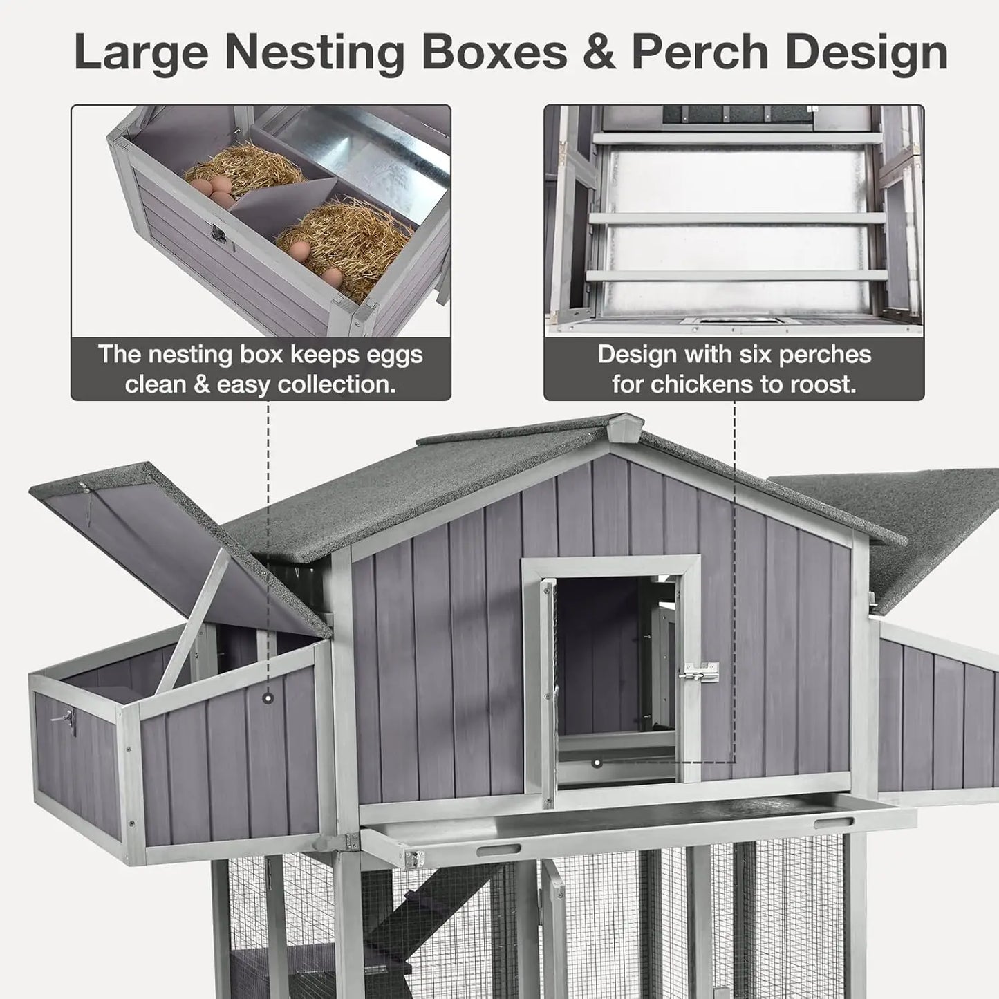Unique Folding Design for Easy to Set Up Chicken House