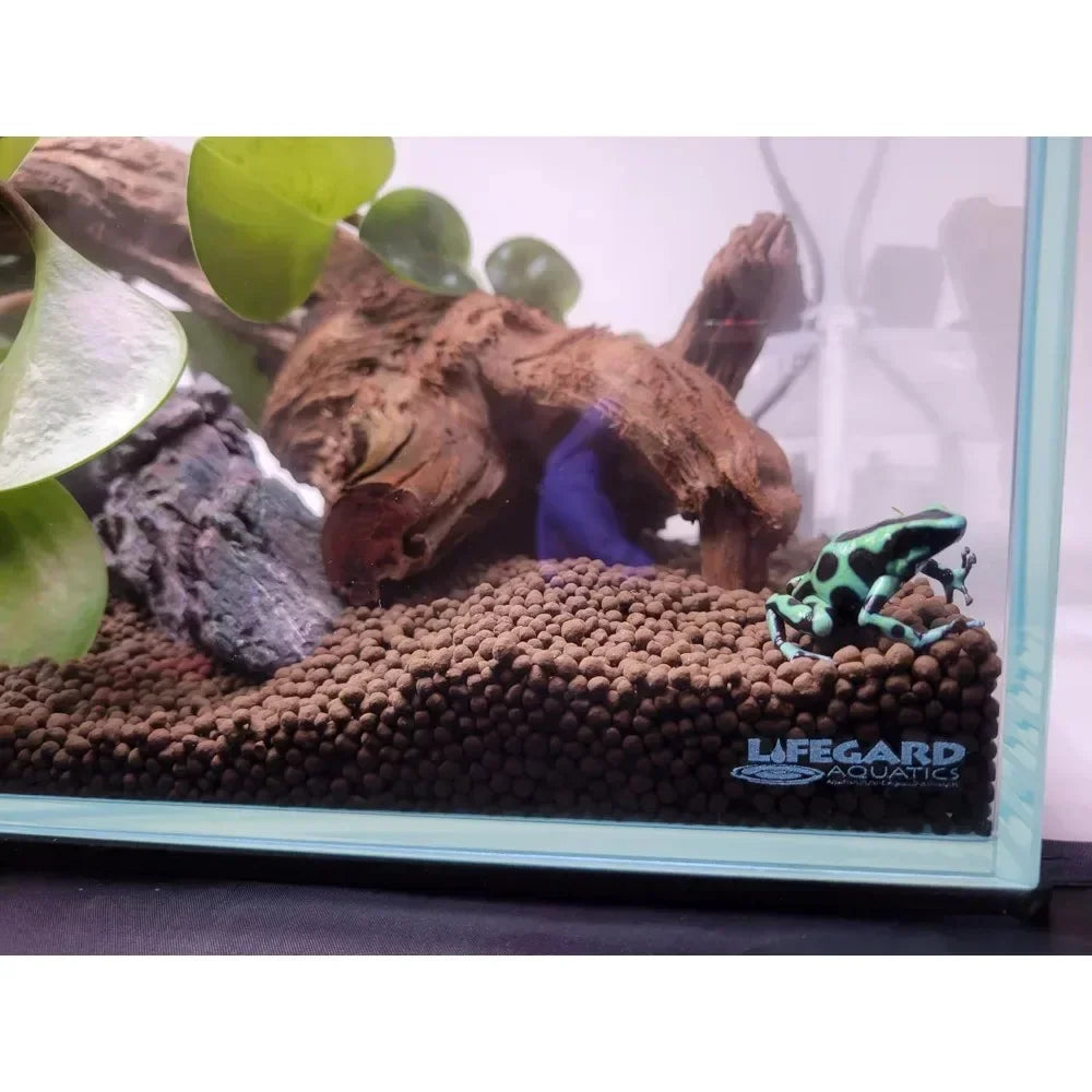 11 Gallon Low Iron Glass Bookshelf Aquarium 5mm - (31.89" x 7.87" x 9.84")