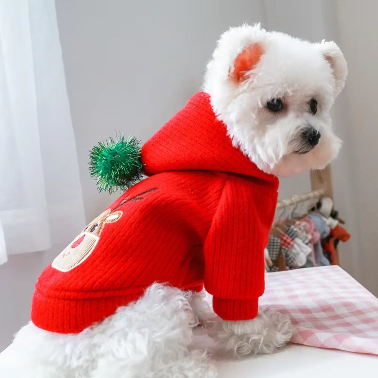 Pet Skirt Dress Winter Christmas Coat For Small Dogs