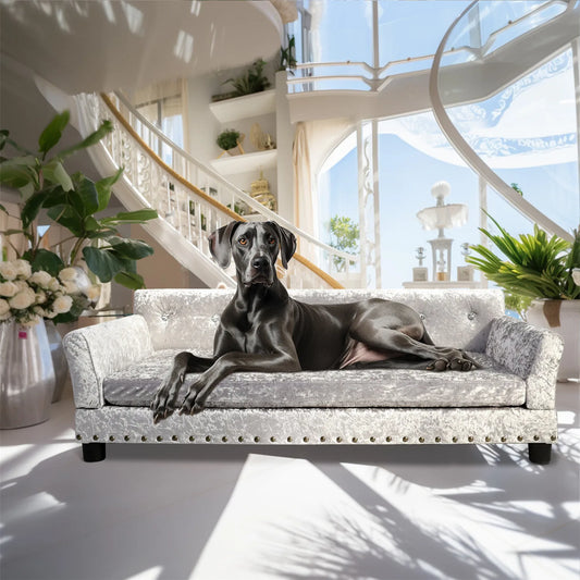 BingoPaw Large Dog Sofa Bed Deluxe Tufted Elevated Couch