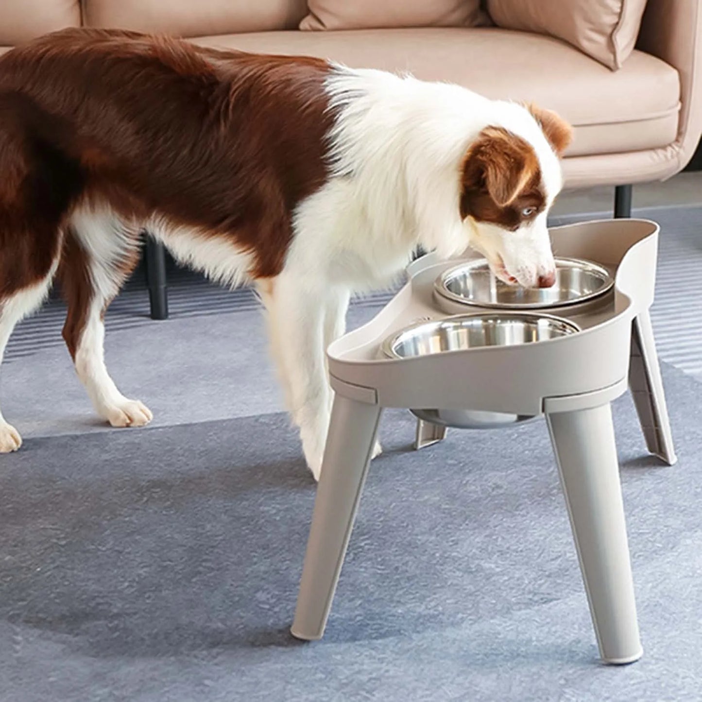 Raised Stand Elevated Dog Feeder Non-Slip No Spill Design
