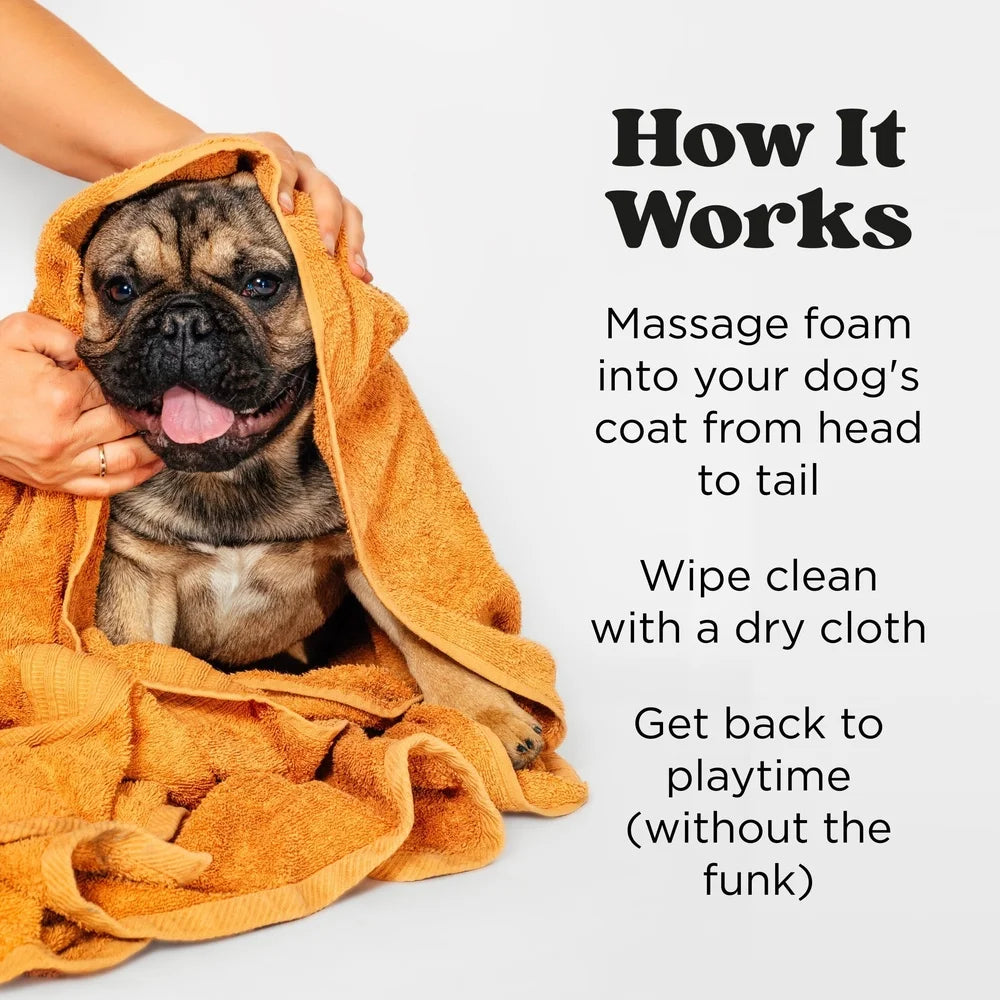 Waterless Pet Shampoo Foam Deodorizing Grooming Cleanser No Rinse Paw Cleaner Fresh Scent for Dogs and Cats Travel Friendly Easy to Use