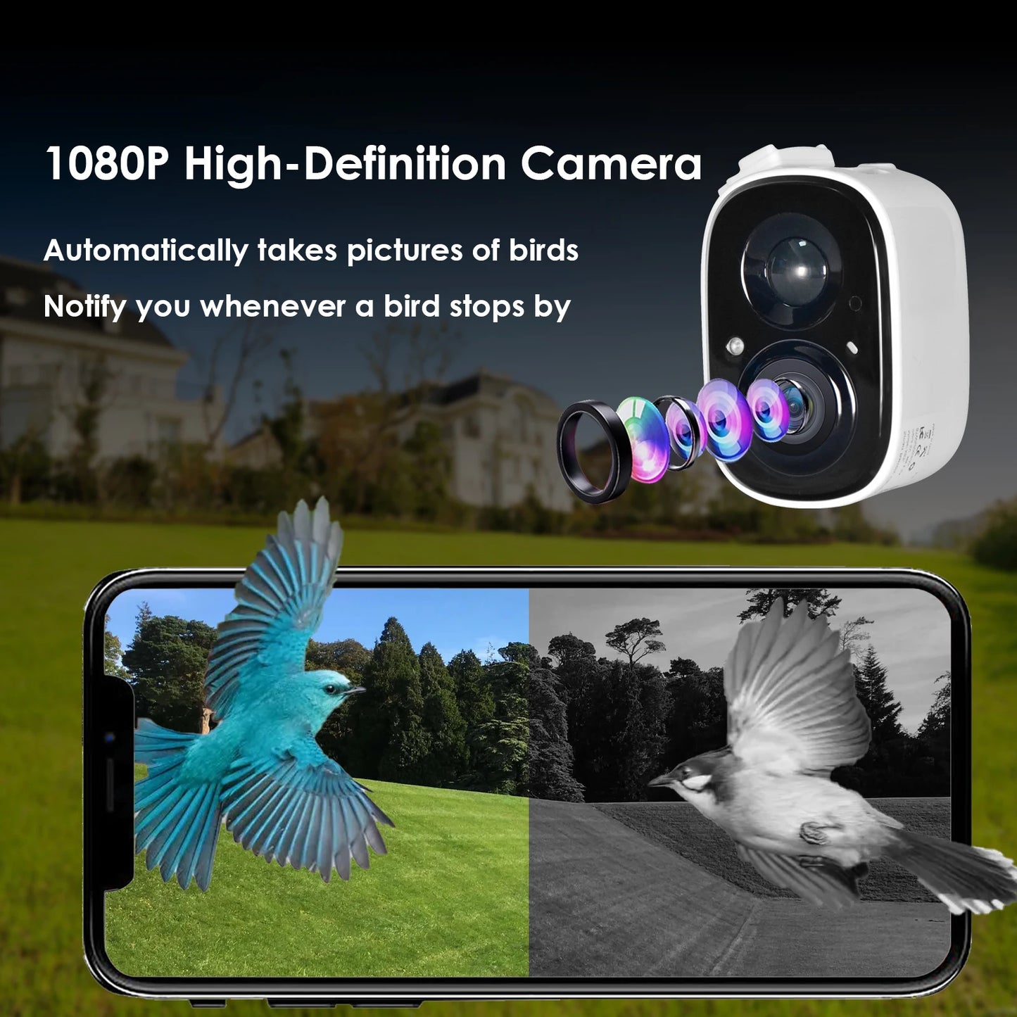 Blue Smart Bird Feeder With Camera Outdoor Waterproof HD