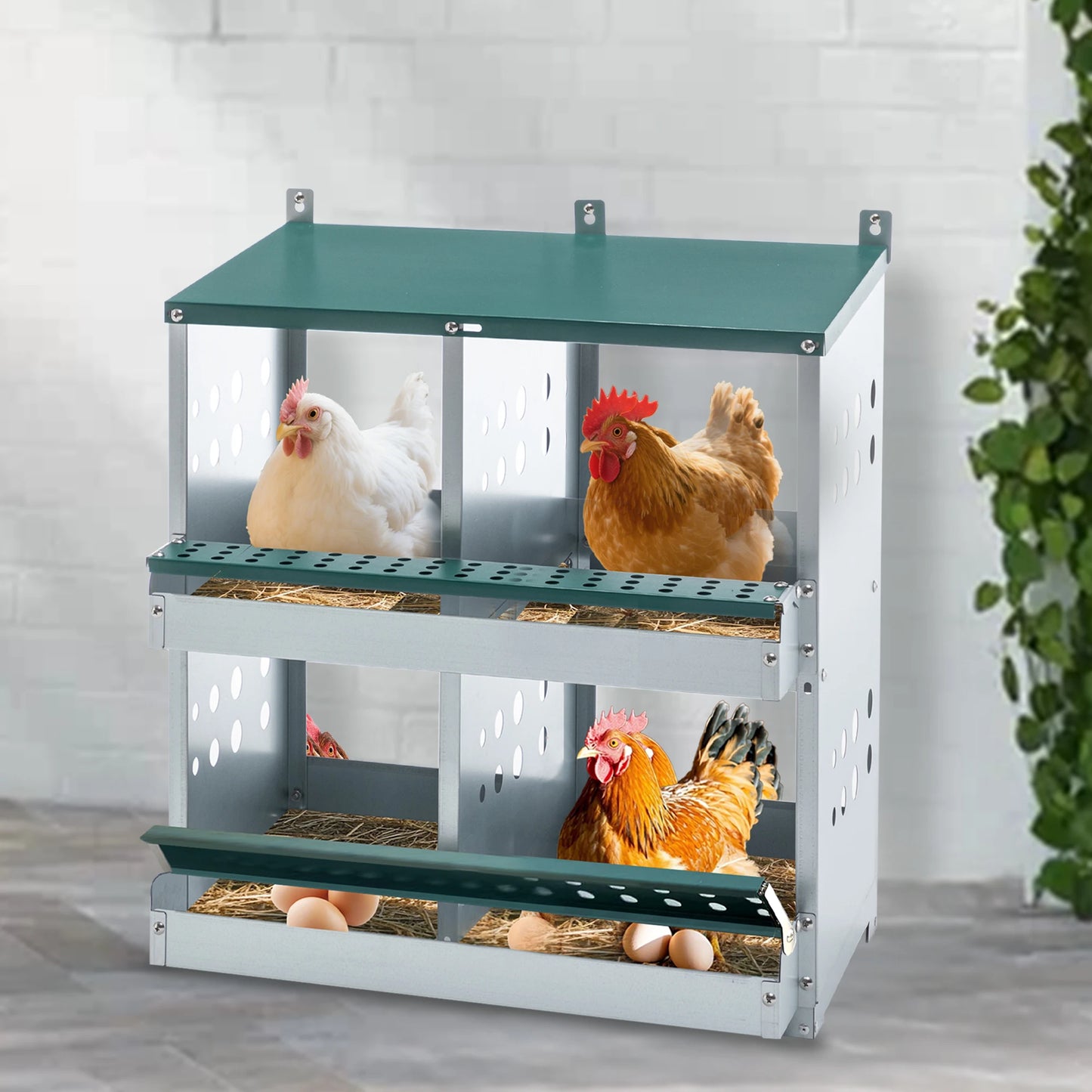 4 Compartment Chicken Nesting Boxes, Metal Nesting Boxes Wall Mount Chicken Egg Laying Box for Different Chicken Breeds