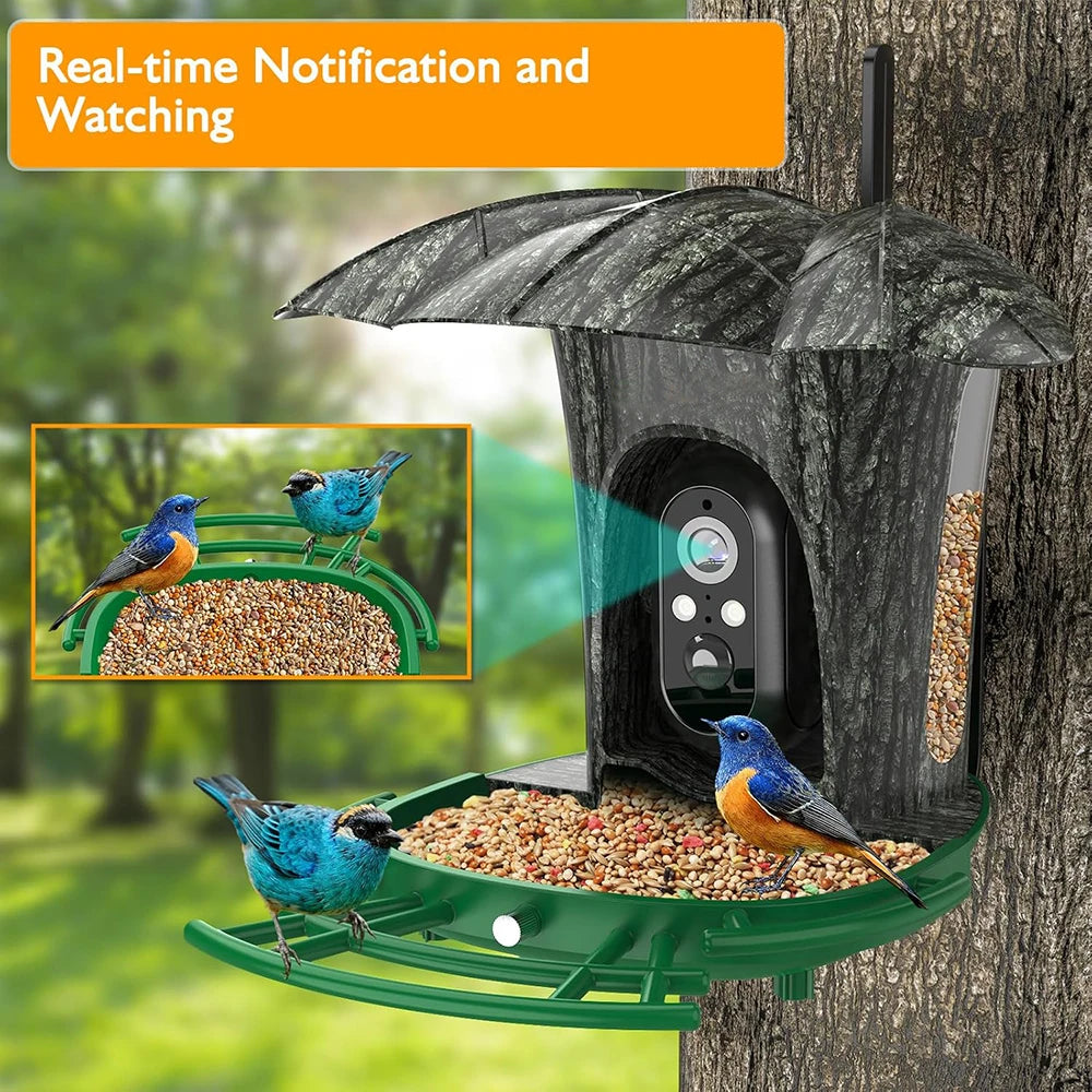 Smart Bird Feeder with Camera Outdoor Bird Watching Camera 1080P HD AI Wildlife Identification