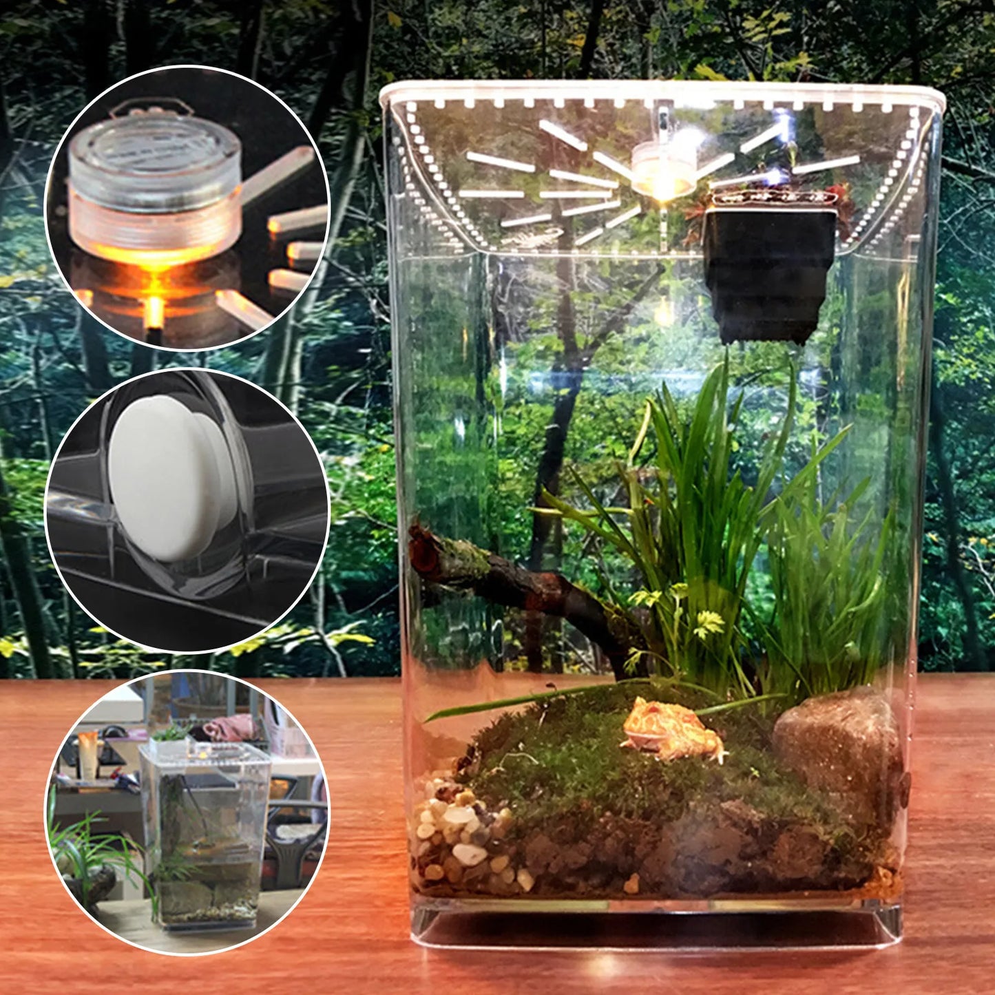 Acrylic Reptile Terrarium Cage For Gecko Lizard Habitat