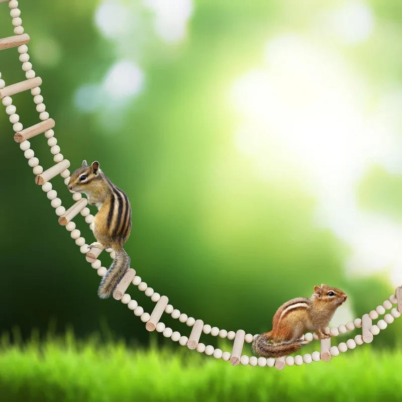 Wooden Bird And Hamster Ladder Bridge 28 Step Climbing Toy For Parrots Rats Squirrels Parakeets