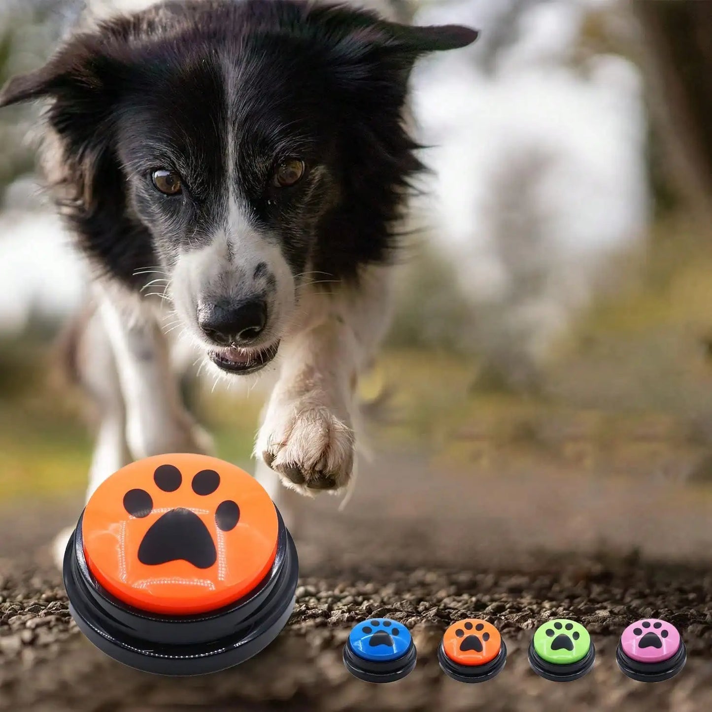 Easy Recording Button Fun and Multifunctional Dog Button Intelligent Recording Buzzer for Canine Training