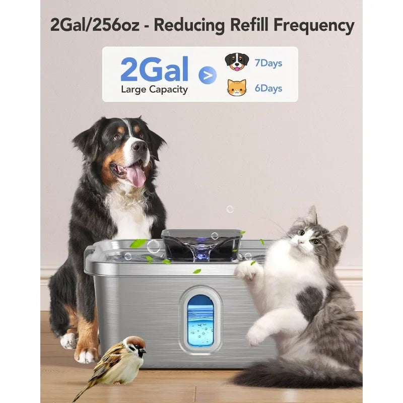 Dog Water Fountain for Large Dogs Stainless Steel 2 Gal