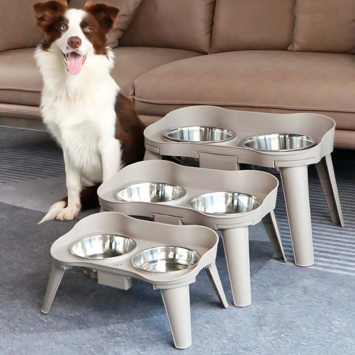 Raised Stand Elevated Dog Feeder Non-Slip No Spill Design