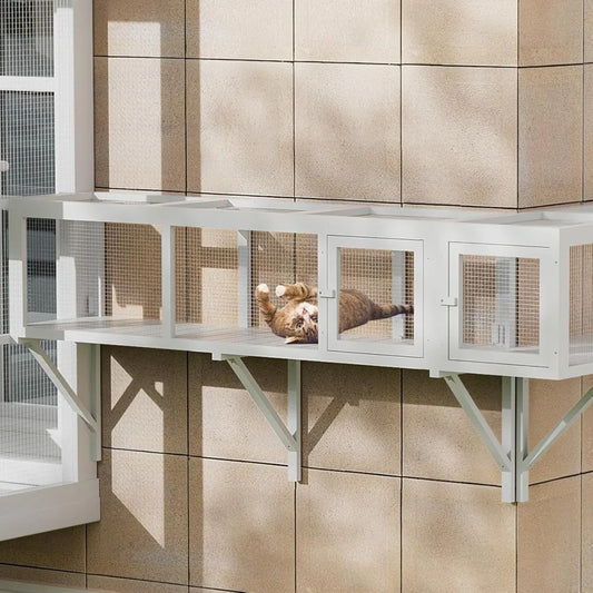 Cat Tunnel With Extendable Design Catio Window Box Enclosure For Outdoor Use