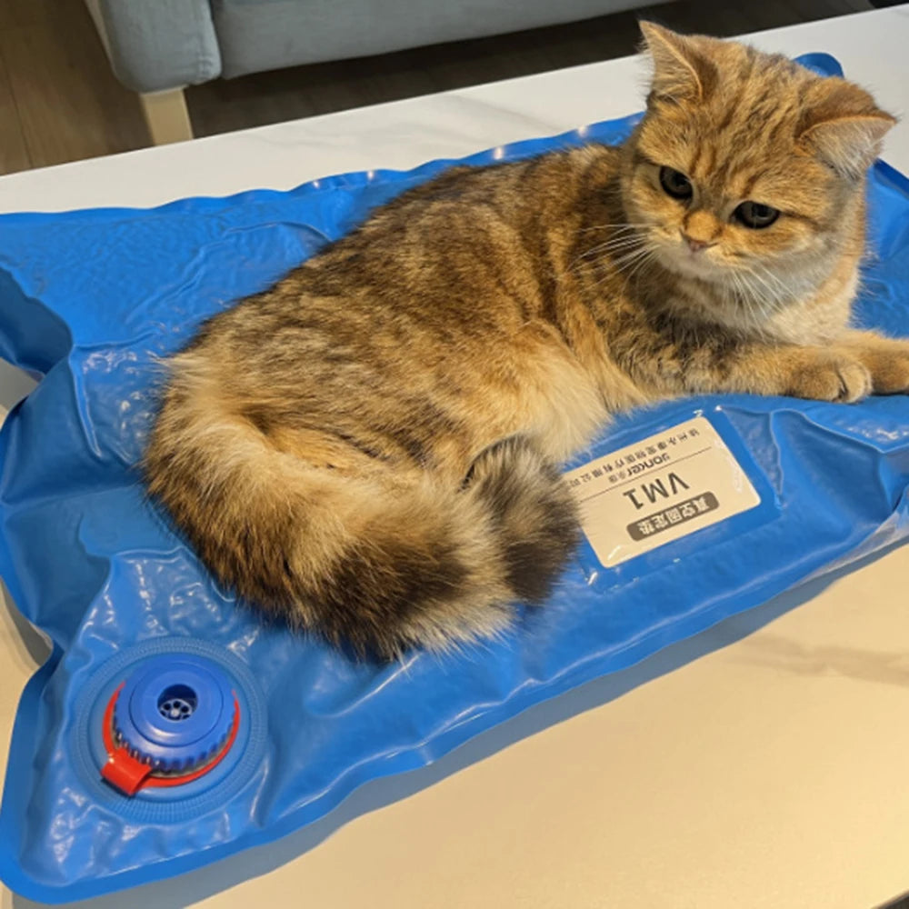 Animal Surgical Accessories Pet Vacuum Positioning Mat Small Veterinary Examination Pad