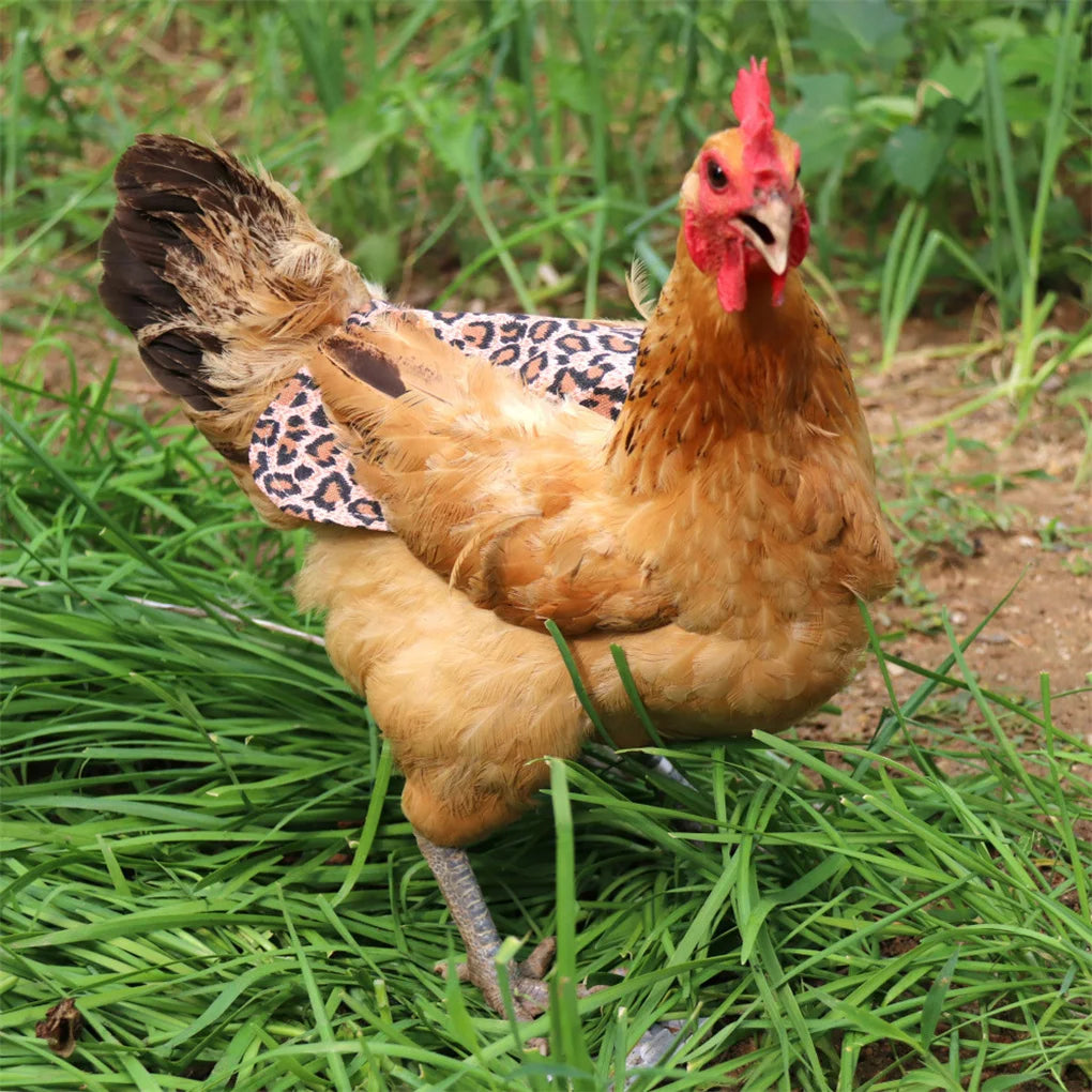 Pack of 5 Chicken Saddle Canvas Hens Apron Feather Protector Accessories