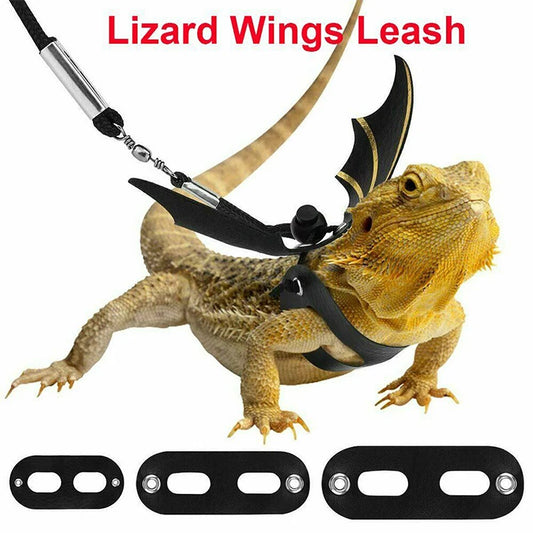Lizard Leash Reptile Harness for Outdoor Pet Chameleon and Squirrel Supplies