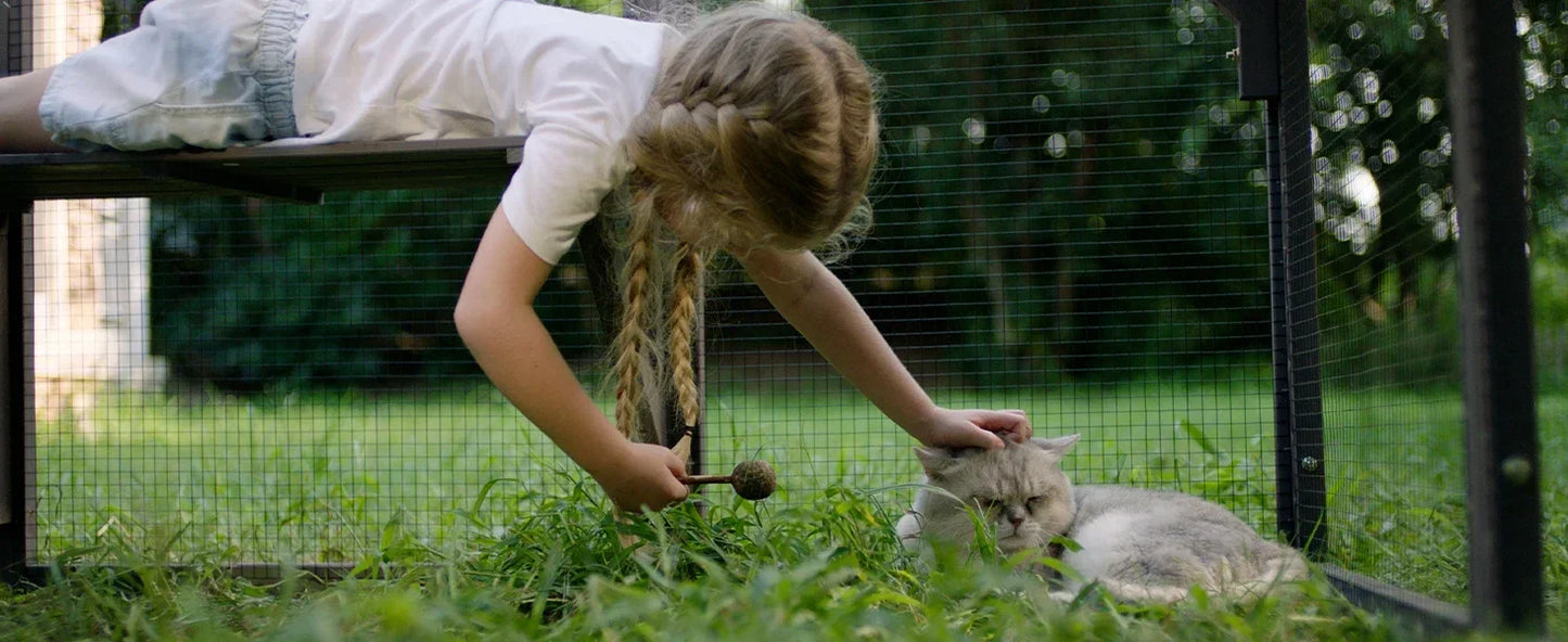 Cat Enclosure Outdoor Cat Catio Large Cat Run with Bridges, Walks, Small Houses, Roof Cover 28.27ft  cat cage  cat house