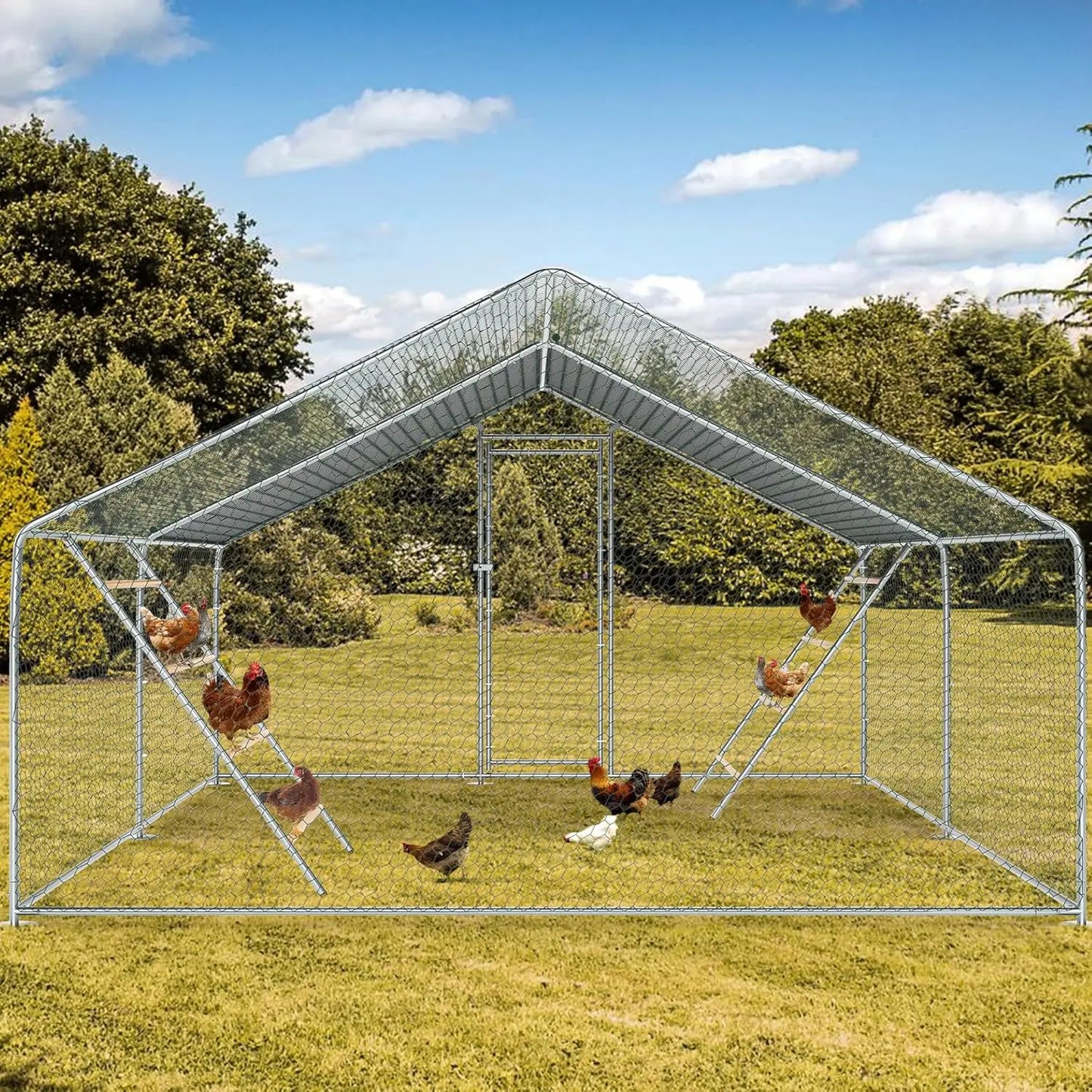 Chicken Coop Roosting Perch Essentials Perfect for Backyard Poultry Easy to Assemble and Clean Fun Roost Toys Included