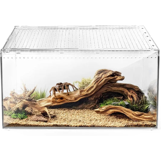 Reptile Terrarium Tank Versatile Enclosure For Gecko And Hermit Crab Habitat