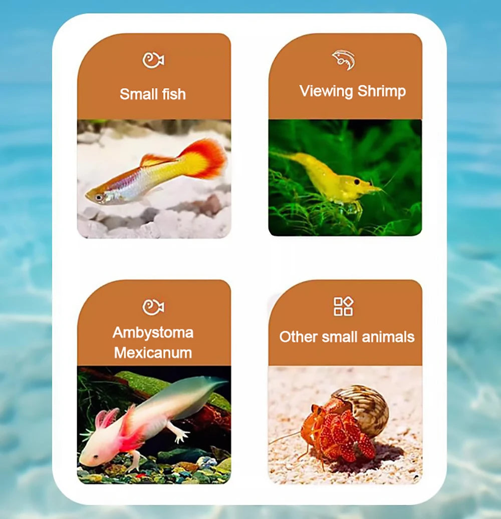 Ecological Goldfish Tank With Water Circulation Oxygenation And LED Lighting