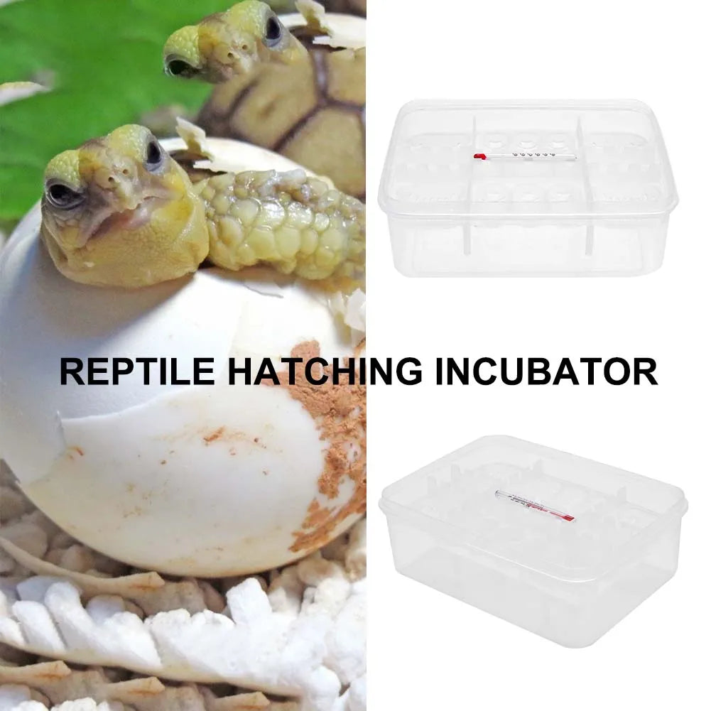 16 Grid Reptile Egg Incubator Tray Hatching Box for Snake Lizard Tortoise Turtle