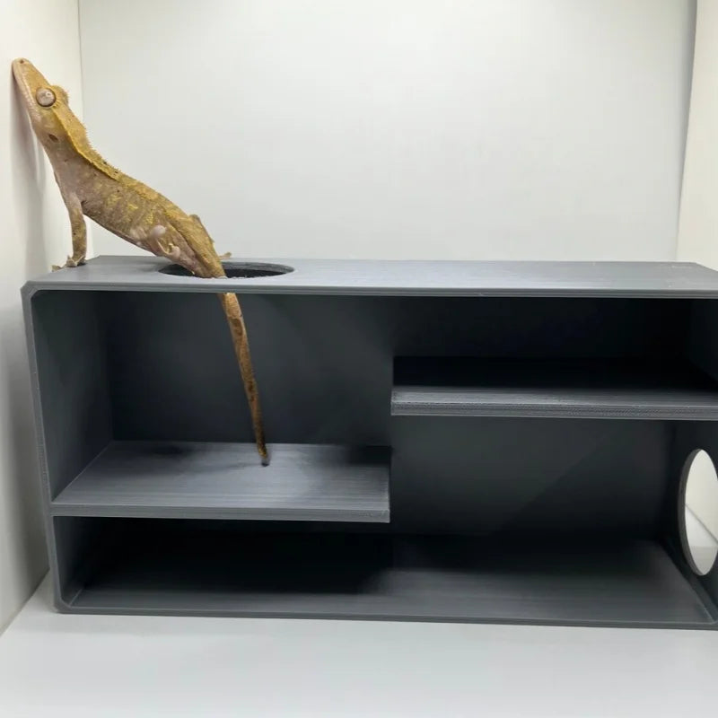 Double layered hide and seek reptile amusement park glass box decoration