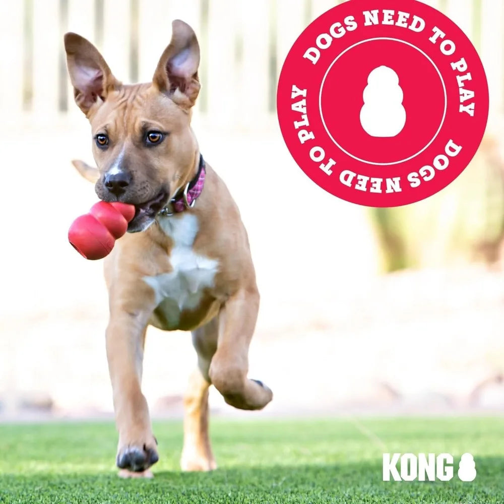KONG Classic Dog Toy and Enhanced Ziggies Treats Combo Pack